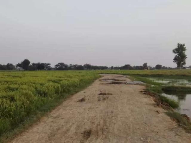 16 Kanal/2 Acre Land BEDIAN Road/Lakhoki For Sale With 1 Acre Front Lahore Bedian Road ID 57339