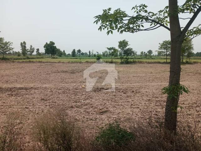 16 Kanal Land 2 Acre Near Dena Nath Multan Road Lahore
