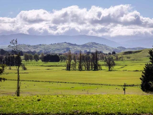 16 Kaka Amu Road, Masterton, Masterton For Sale