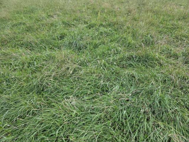 16 Northbrook Road, Rangiora, Waimakariri