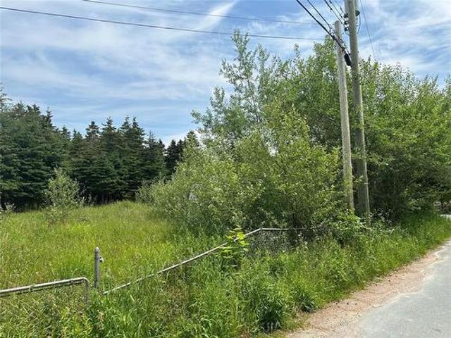 16 Ridge Road, Holyrood, NL, A0A 2R0 vacant land for sale | Listing ID 1298 | Royal LePage