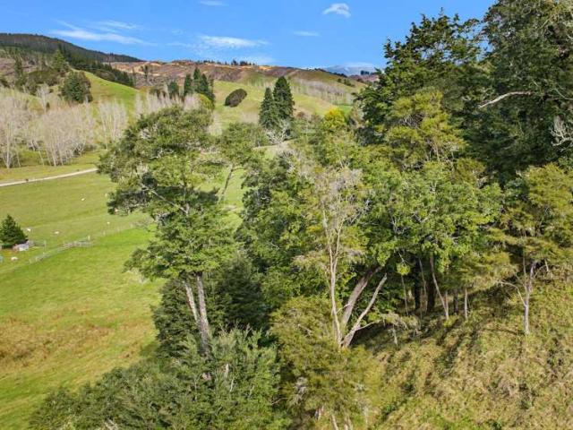 170 Glenrae Road, Tapawera, Tasman