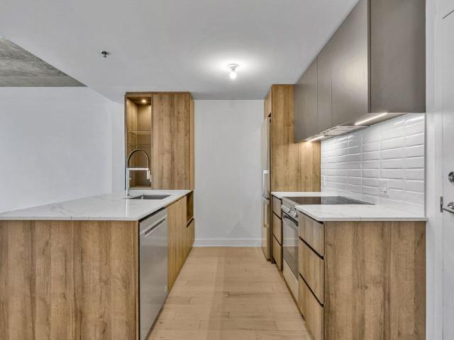 170 Rue Rioux, apt. 404