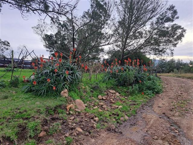 171 ha Farm in Riversdale