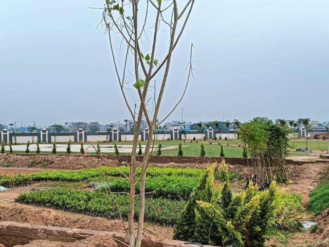 171 Sq.Yd. Plot in Sector 12 Panchkula Listing ID: #10250