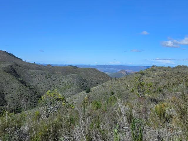 171Ha Farm For Sale in Robertson Rural