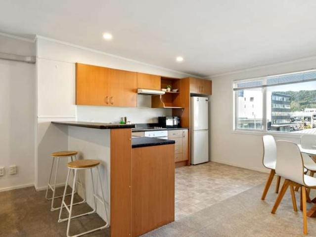 17/3 Kelvin Grove, Te Aro, Wellington City