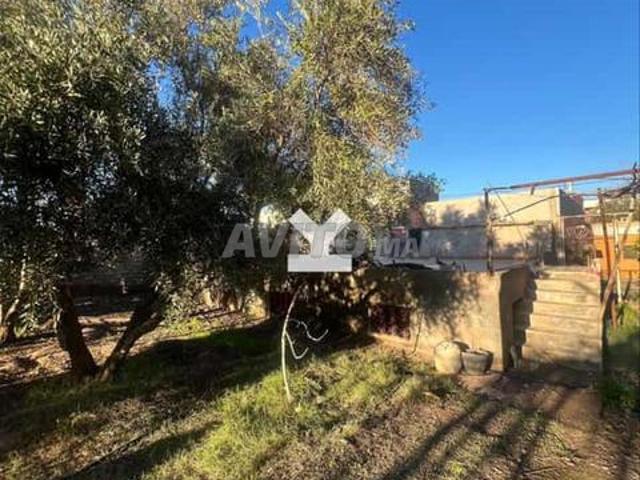 175941 Vente Terrain à Marrakech Route D'Amizmiz