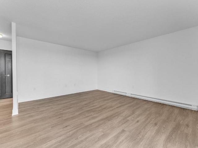 175 Park Street Studio Apartment for Rent at 175 Park St, Kingston, ON K7L 5E1 Sunnyside