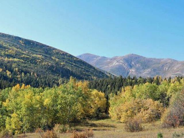 176 acres Crowsnest Pass Alberta