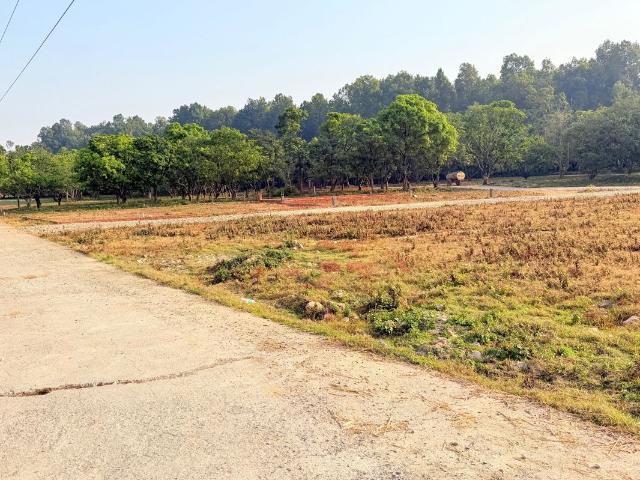 1772 Sq.Ft. Plot in Baronwala Dehradun Listing ID: #10259