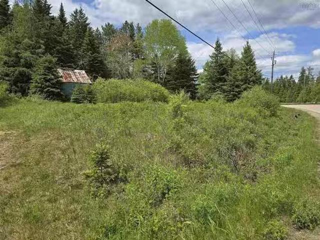 17987 Highway 316, Country Harbour, NS, B0H 0B1 vacant land.