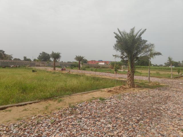 1800 Sq.Ft. Plot in Sujanpur Aligarh Listing ID: #9510