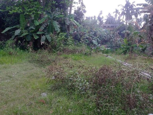 1800 Sq.Ft. Plot in Rajpur Kolkata Listing ID: #10110