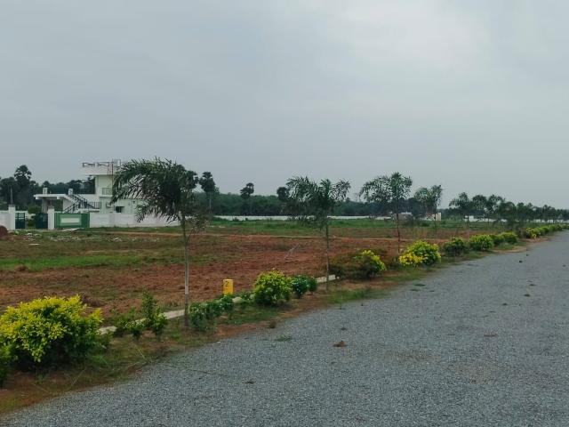 180 Sq.Yd. Plot in Bhogapuram Vizag Listing ID: #9514