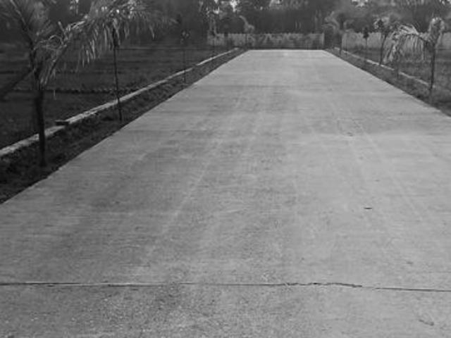 180 Sq.Yd. Plot in Mohabbewala Dehradun Listing ID: #10116