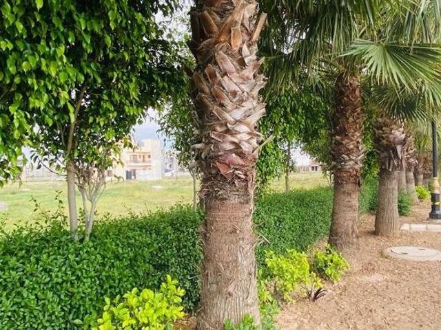 182 Sq.Yd. Plot in Ambala Highway Zirakpur Listing ID: #10211