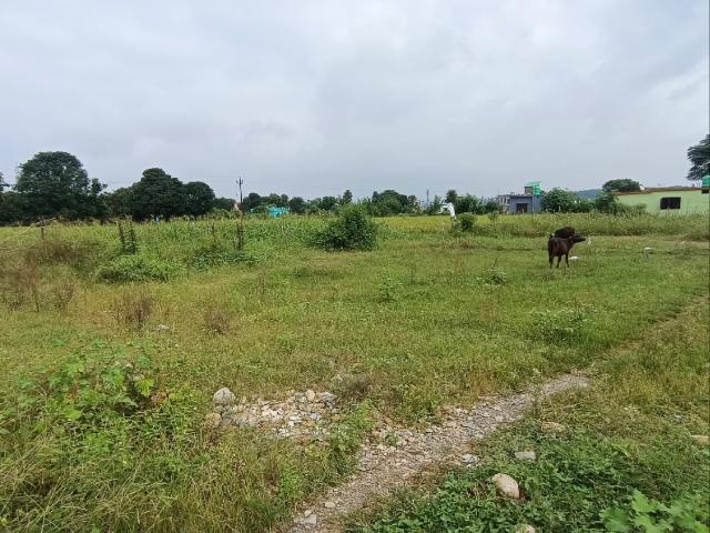 1847 Sq.Ft. Plot in Baronwala Dehradun Listing ID: #10259