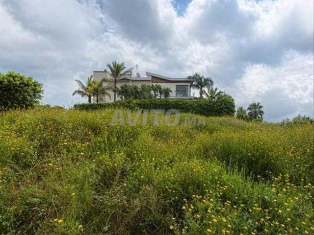 185411 Vente Terrain à Casablanca Sidi Maarouf de