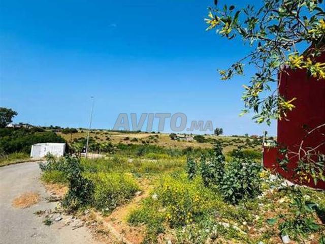 185435 Vente Terrain à Bouznika El Kheir de 316 m²