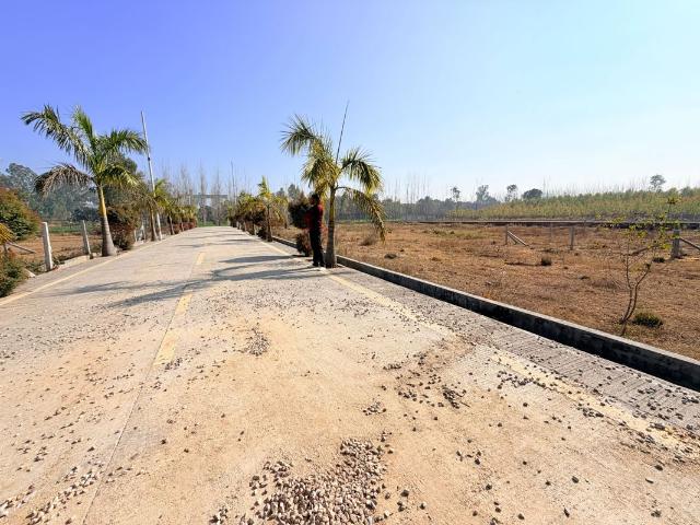 186 Sq.Yd. Plot in Niranjanpur Dehradun Listing ID: #10000
