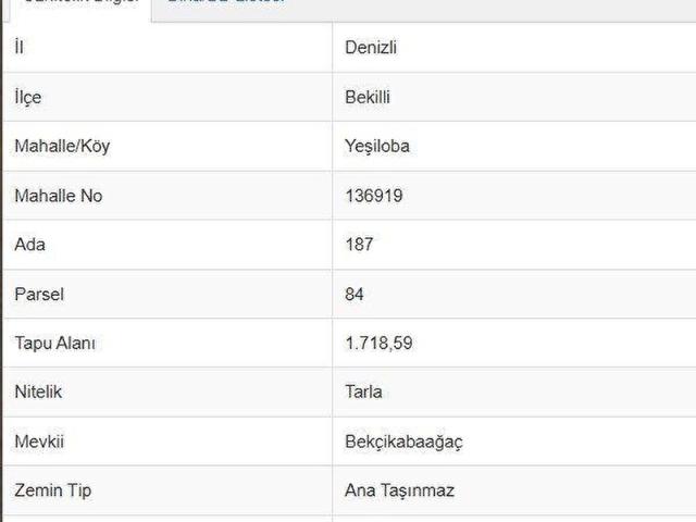 18784 denizli bekilli yeşiloba satılık tarla