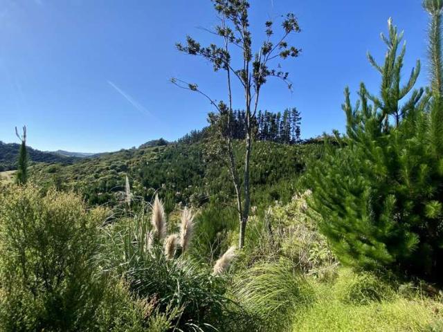 1870 The 309 Road, Whitianga, Thames Coromandel