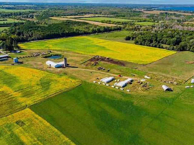 188 Acres Of Farmland!
