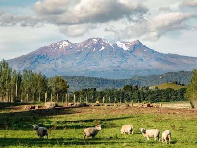 189 Smiths Road Lot 2, Ohakune, Ruapehu