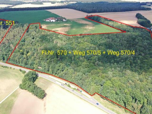 18,7 ha Forstwirtschaftsfläche näche Ettmannsdorf Schwandorf