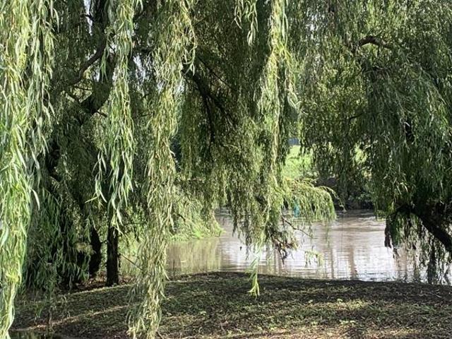 18.1 ha Land available in Pendale AH