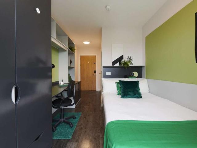 18 Bedroom Apartment Dublin Dublin D08 R596 101824663