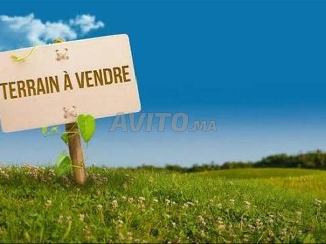 18 hectares à vendre à Rabat