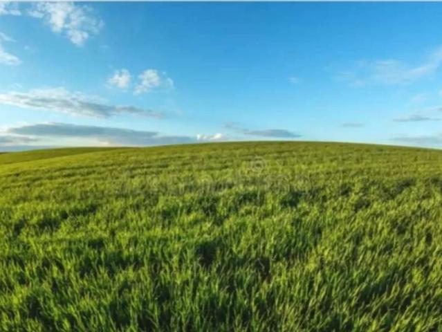 18 kanal zarai zameen for sale in multan shujabad pind kangra Wala Multan Shujabad Road ID 25142