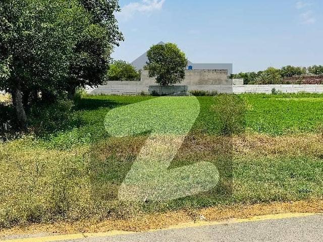 18 Kanal Plot In Sofia Farmhouse Bedian Road Lahore