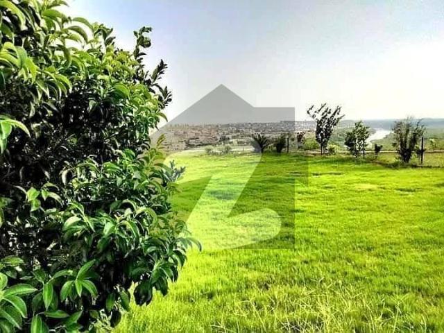 18 Marla Investor Rate House Double Unit |10 Marla Construction House 8 Marla Big Lawn Bahria Town Phase 8 Block H