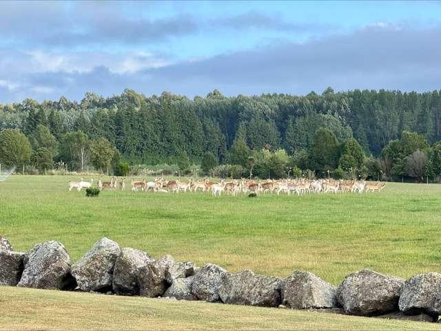 18 Meadowlinks Lane, Pleasant Point, Timaru
