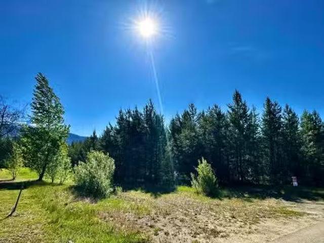 1923 Cranberry Place, Valemount, BC, V0E 2Z0 vacant land for.