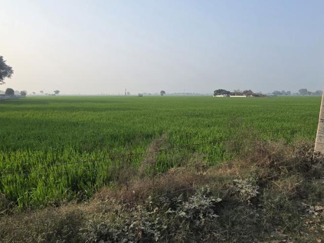 1936 Sq.Ft. Plot in Sector 89 Mohali Listing ID: #10307