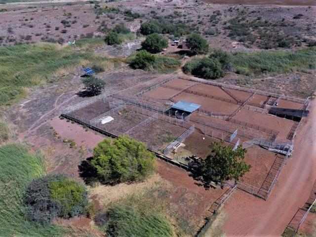 193 ha Farm in Upington