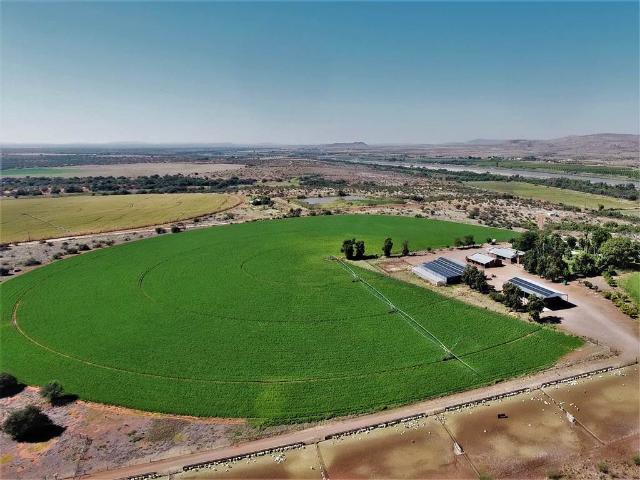 193 ha Farm in Upington
