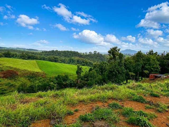 194E Pekanui Road, Pirongia, Waipa