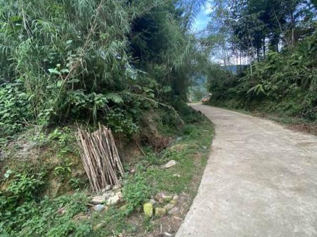 196m2 đất Sín Chải Y Tý Sapa 2 phù hợp đầu tư Homestay, Farm cho các nhà đầu tư