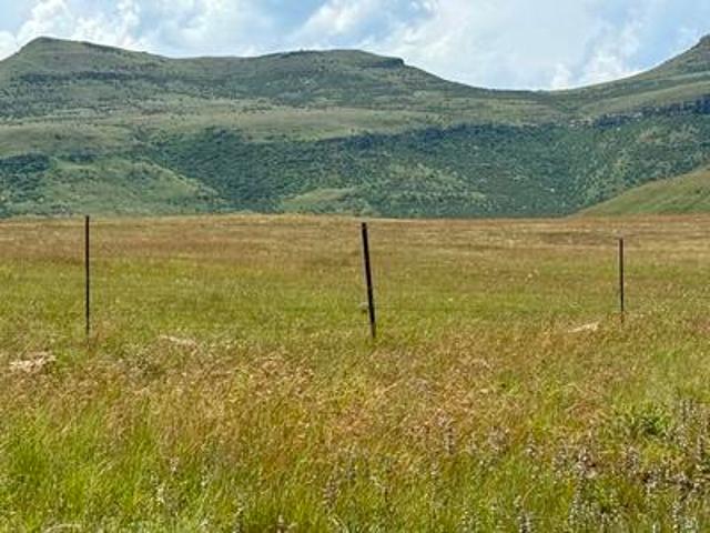 1989 ha harrismith grazing farm for sale