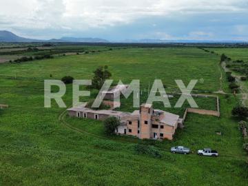 198 Hectáreas agrícolas en venta