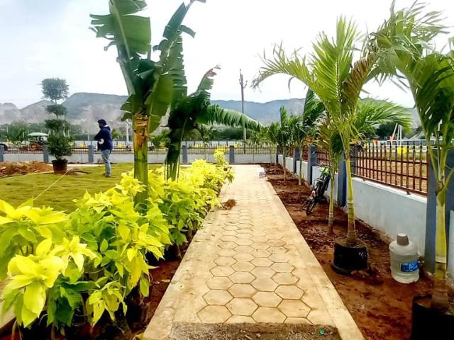 198 Sq.Yd. Plot in Kanchikacherla Vijayawada Listing ID: #10407