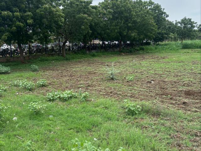 199 Sq.Yd. Plot in Penamaluru Vijayawada Listing ID: #10276