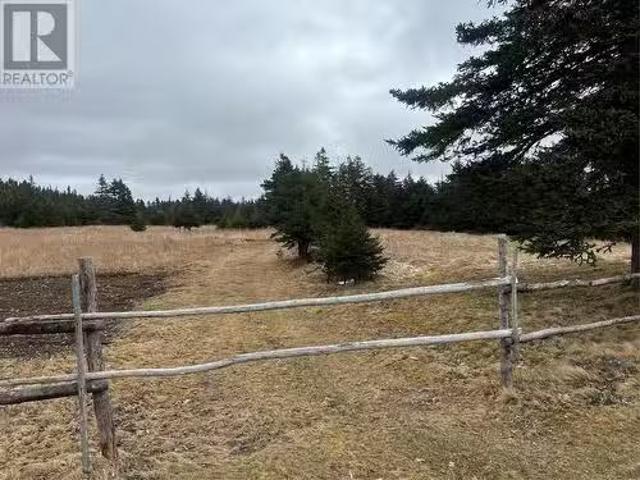 19 Dobbin'S Road, Bell Island, NL, A0A 4H0 vacant land for s.