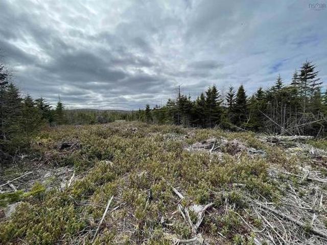 19 Lipkudamoonk Path, Clam Bay, NS, B0J 1Y0 vacant land for.