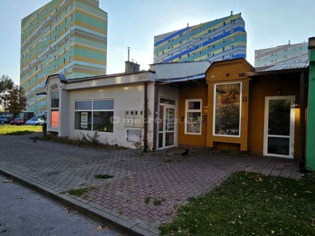 19 Lutego 66,60 m², Skierniewice